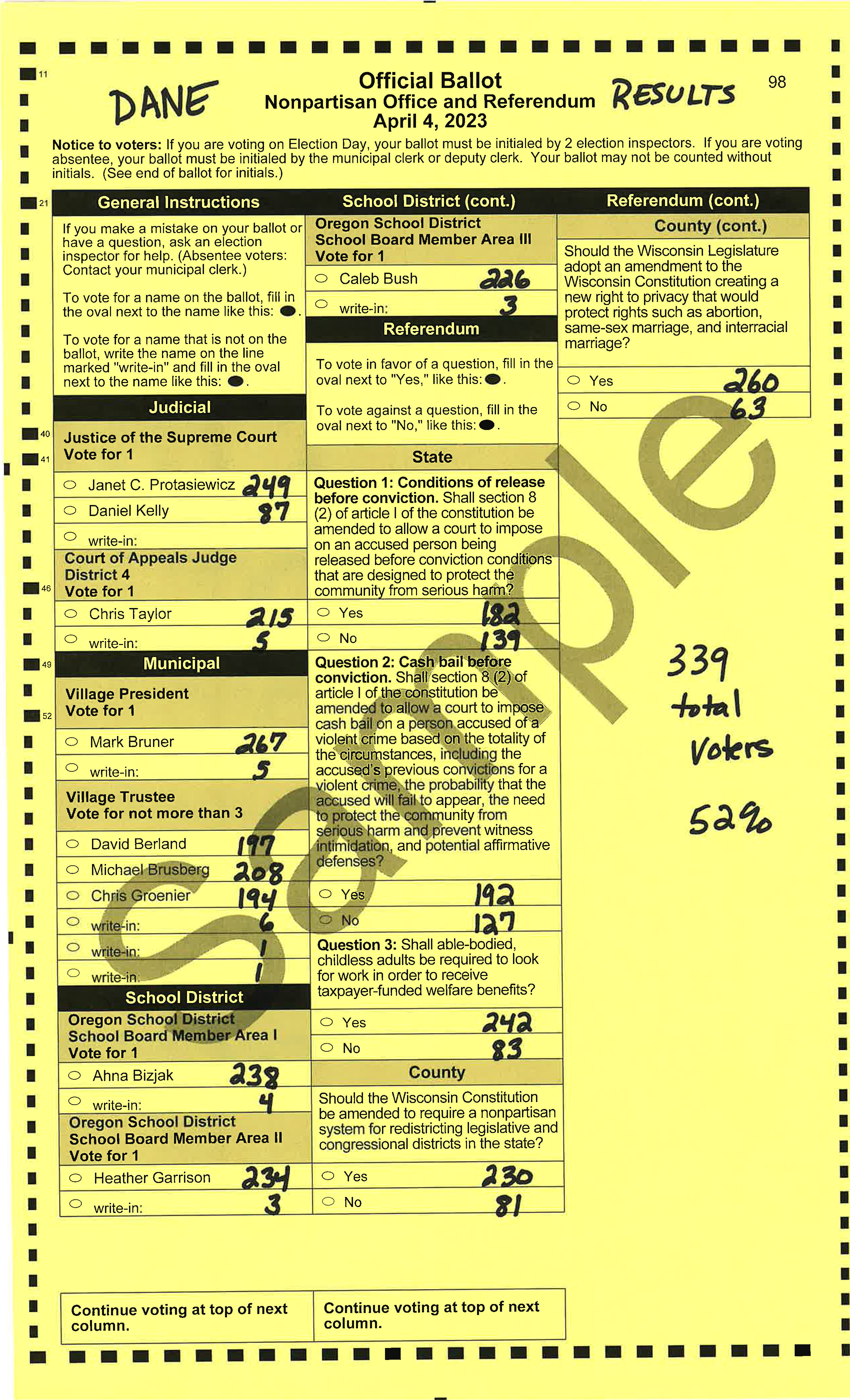 Elections Village of Brooklyn