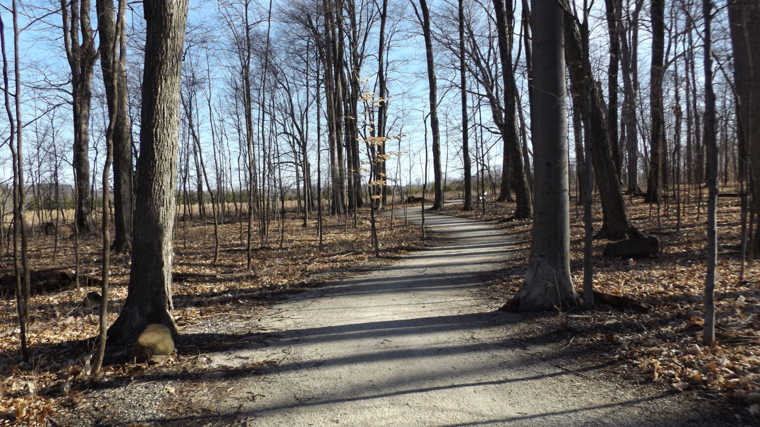 Gallery City of New Holstein, Wisconsin