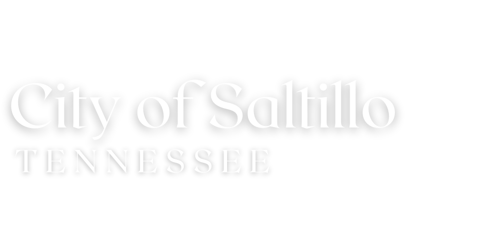 Home City of Saltillo, TN