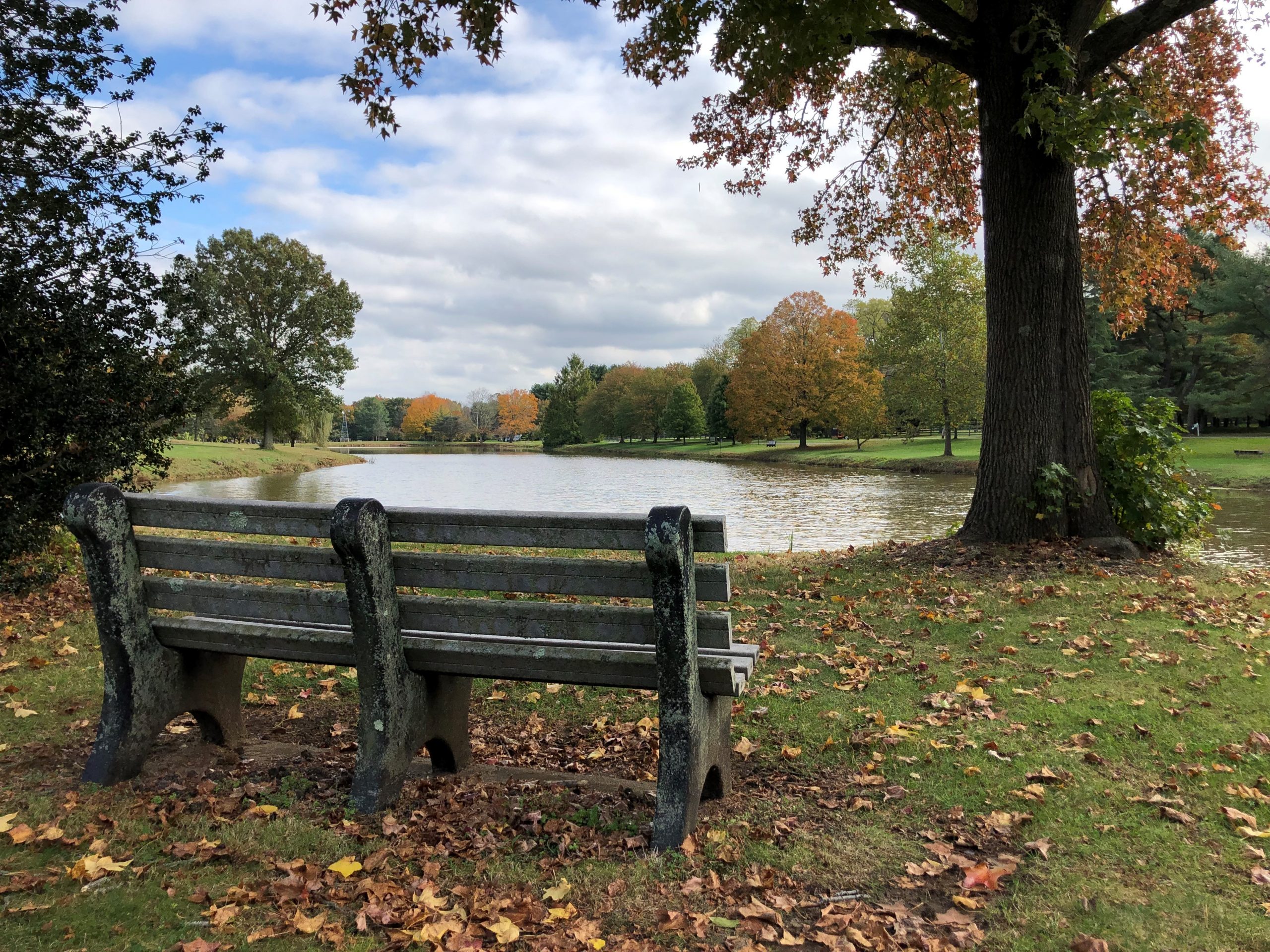 Tax Collector Colts Neck Township