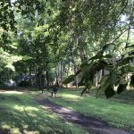 Pump Park offers a tiny, hidden greenspace sanctuary.