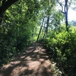 Treasured time in the trees is not far away!