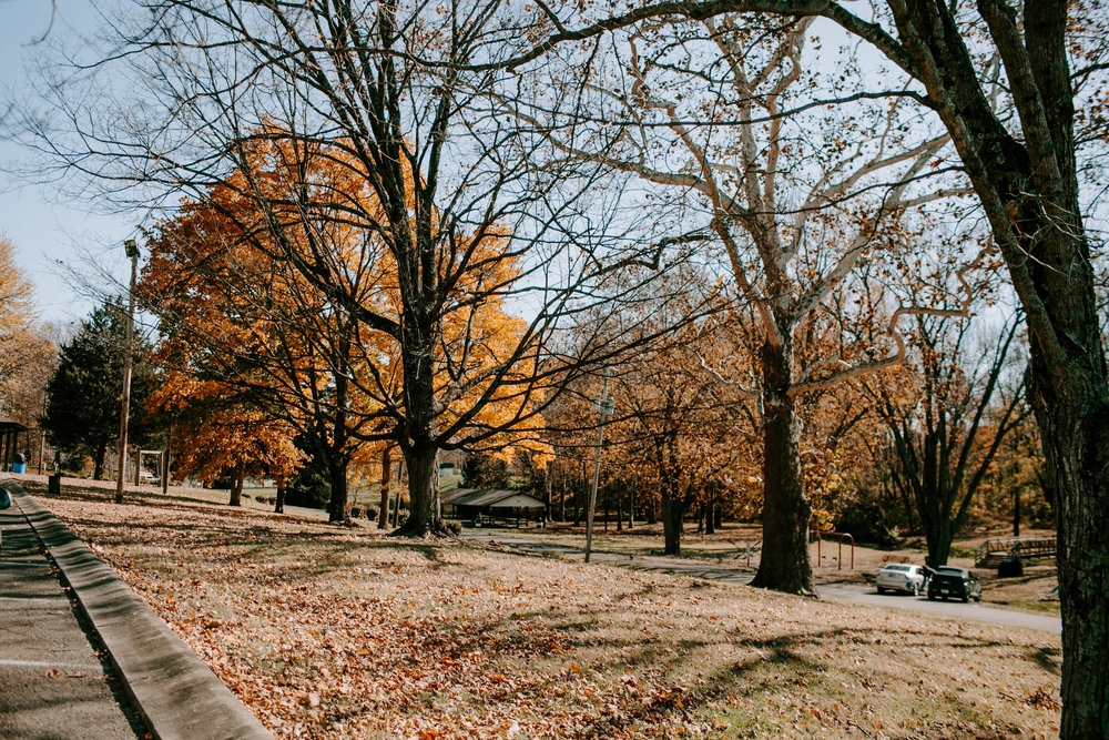Memorial Park Town of Fortville