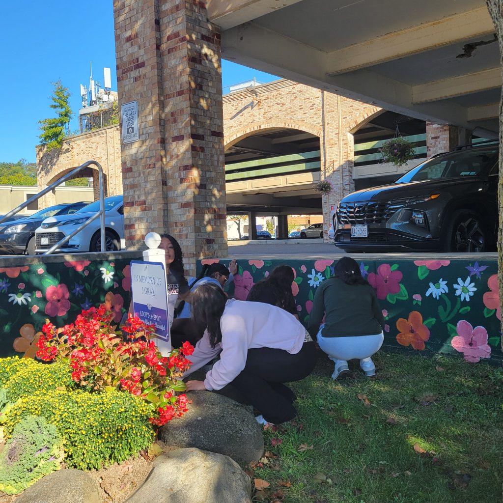 Glen Cove Beautification Commission Tulip Planting 2025 - 3