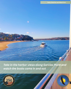 Garvies Point Esplanade