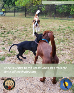 Leech Circle Dog Park