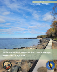 Welwyn Preserve loop
