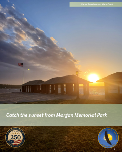 Morgan Park Sunset