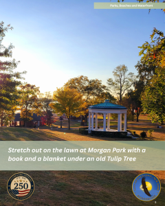Morgan Park lawn