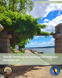 Morgan Park Teahouse