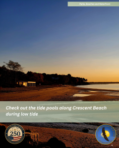 Crescent Beach lowtide