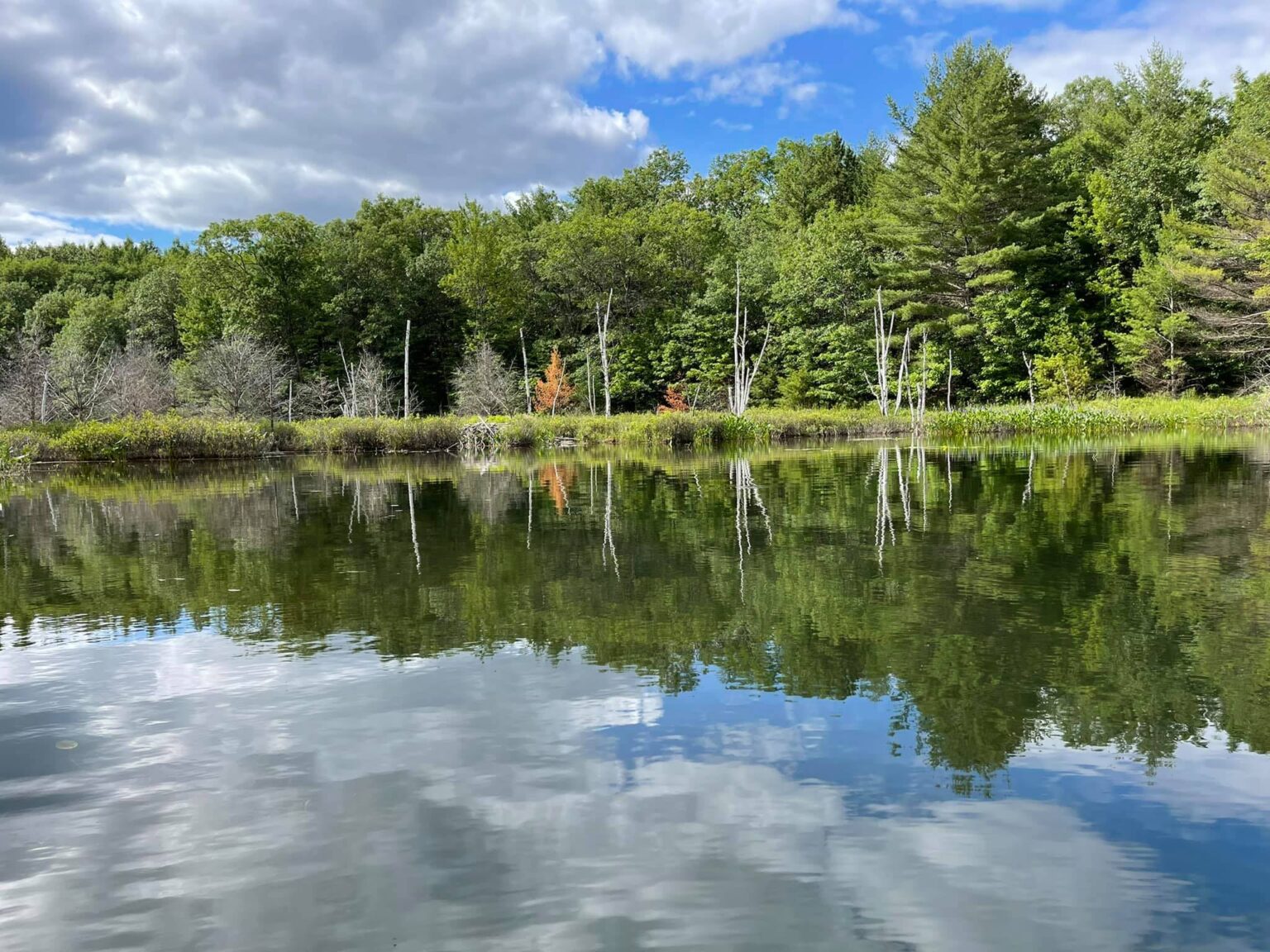 Gallery Town of Lake Tomahawk