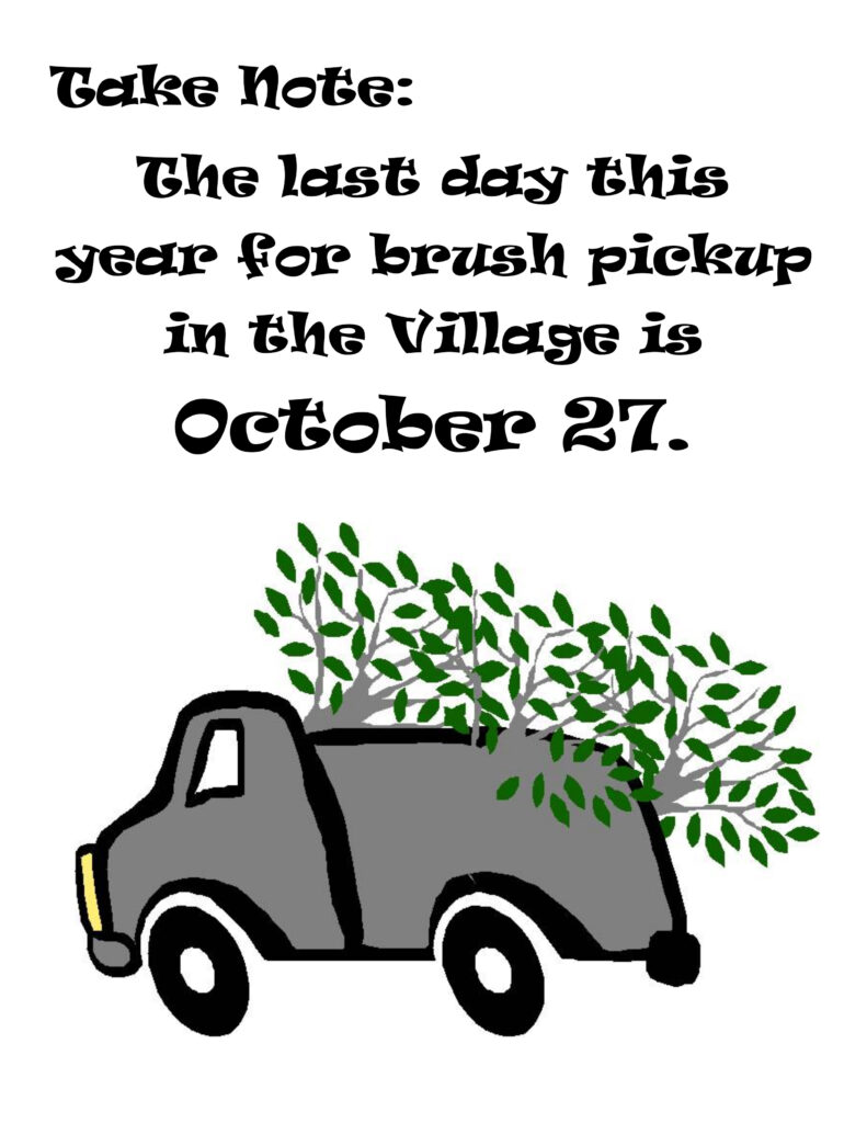 2025 last day brush pick up 1 Brush Pick Up