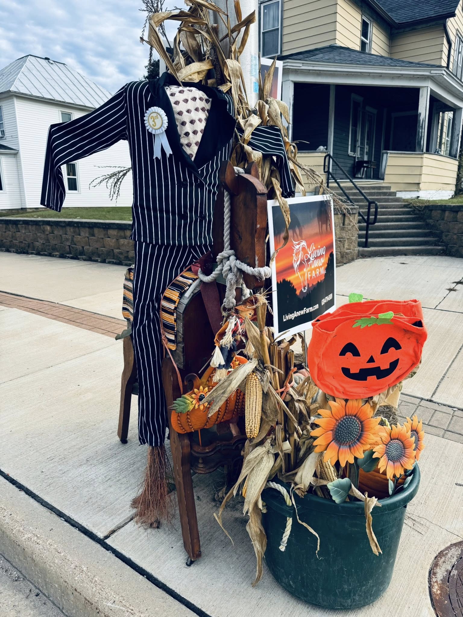 3rd Place
Living Anew Farm