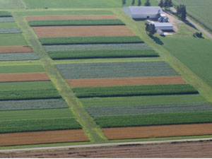 Organic-Soil Organic-Soil