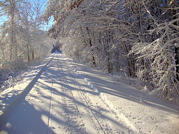 wild-goose-trail wild-goose-trail