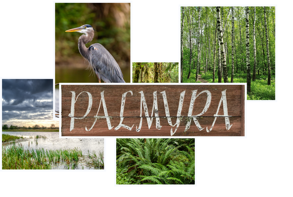 Home Town of Palmyra