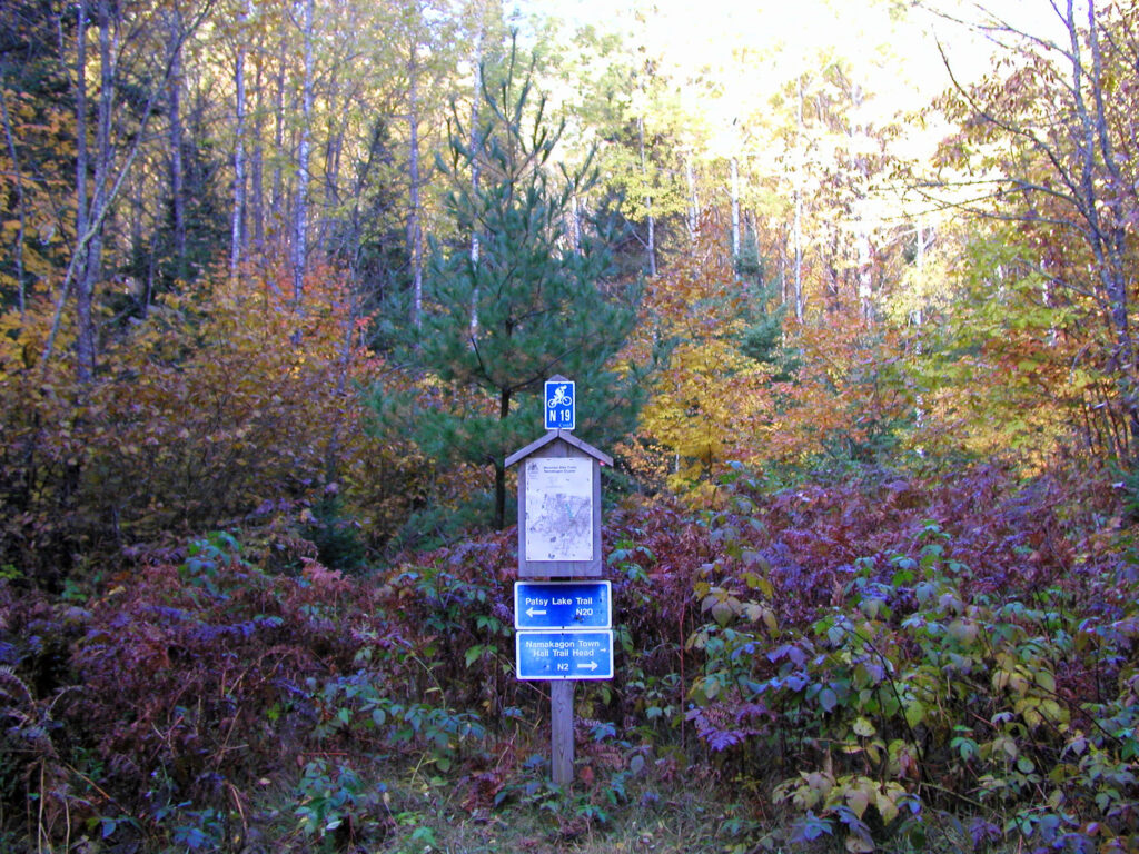 Patsy Lake Gallery - Town of Spider Lake