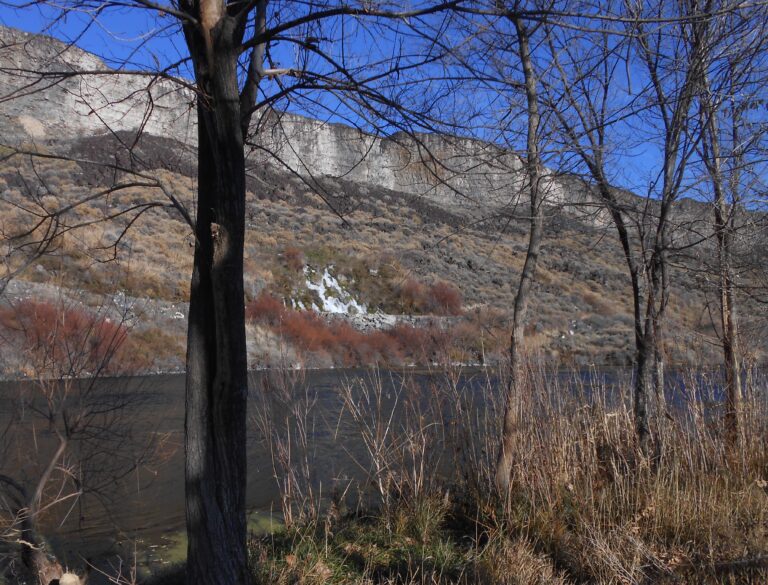 Home City of Wendell