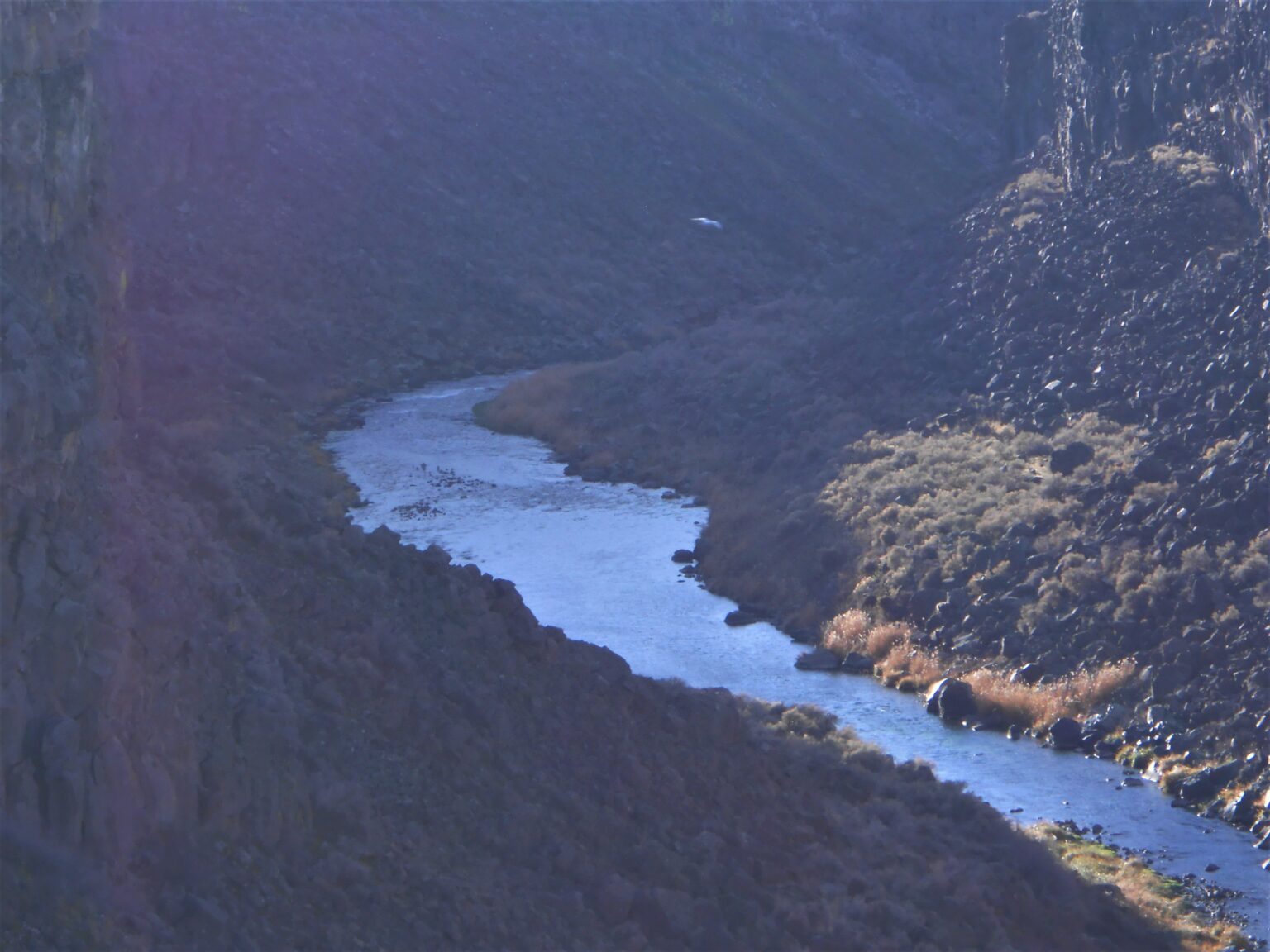 Home City of Wendell