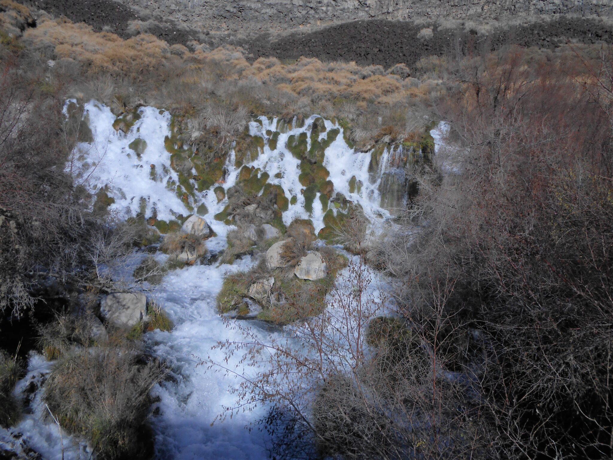 Home City of Wendell