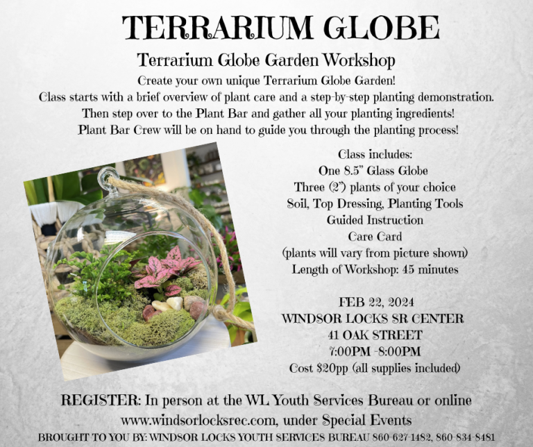 Terrarium Globe Class Town of Windsor Locks, Connecticut