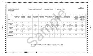 2025 Sample Ballot