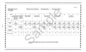2025 Sample Ballot