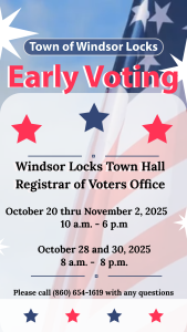 2024 How to vote-19 (1)