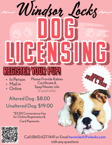 dog license flyer - with prices
