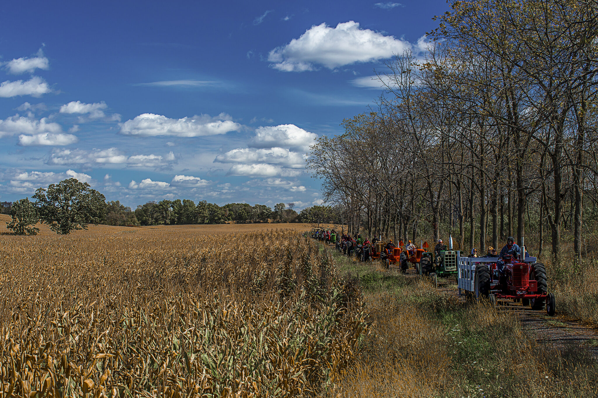 Village of Rochester, Racine County, Wisconsin Official site of the Village of Rochester